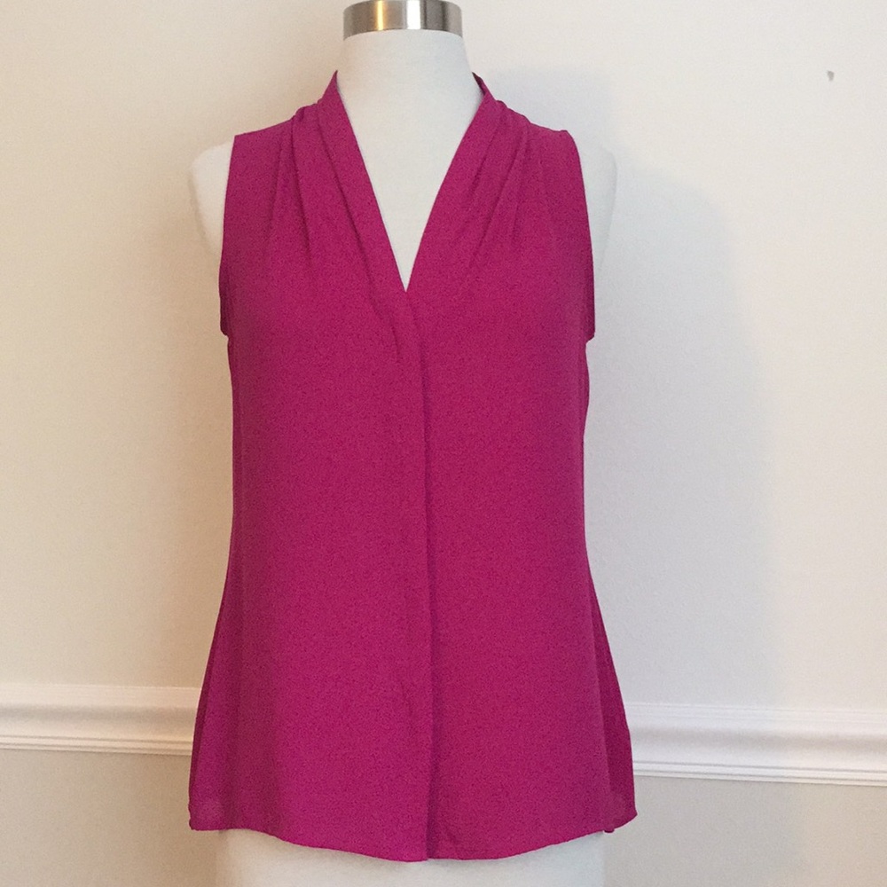 Banana Pink Sleeveless Chiffon Blouse